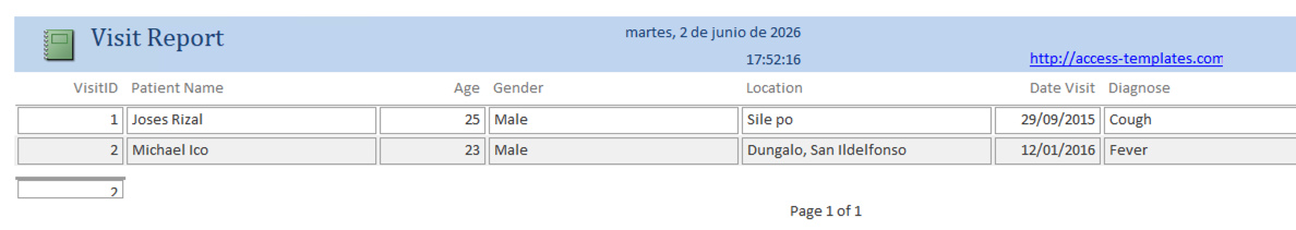 access informe